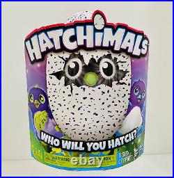 Hatchimals RARE Draggle, Blue/Purple EggSpin MasterOriginal New Box