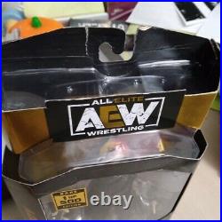 Matt Hardy AEW Unrivaled Series 4 Action Figure CHASE RARE 1 OF 500 BOX WEAR