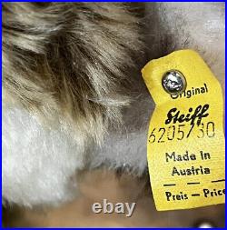 RARE Original NEW IN BOX Antique Steiff Raccoon Bear Stuffed Dralon Has Button
