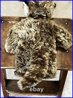 RARE Original NEW IN BOX Antique Steiff Raccoon Bear Stuffed Dralon Has Button