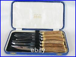 Six Genuine Rare The Hecht Co Stag/Antler Handle Steak Knives Stainless Boxed