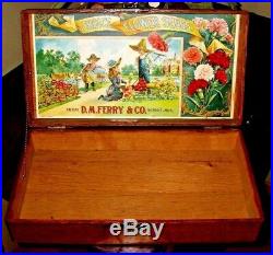 Vintage Ferry Seed Box General Store Rare Great Condition C. 1940 17 X 9 X 4