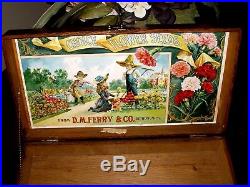 Vintage Ferry Seed Box General Store Rare Great Condition C. 1940 17 X 9 X 4